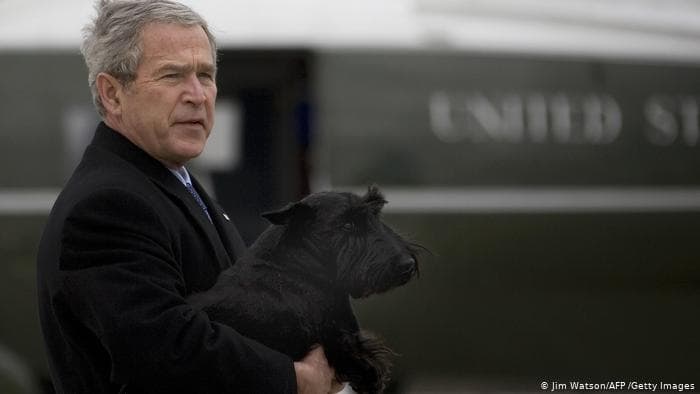 Домашние животные. Джордж Буш со своей собакой Барни